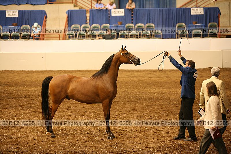 Proof 07r12_0205