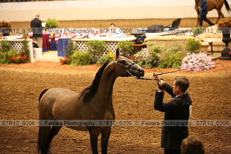 Proof 07r12_0206
