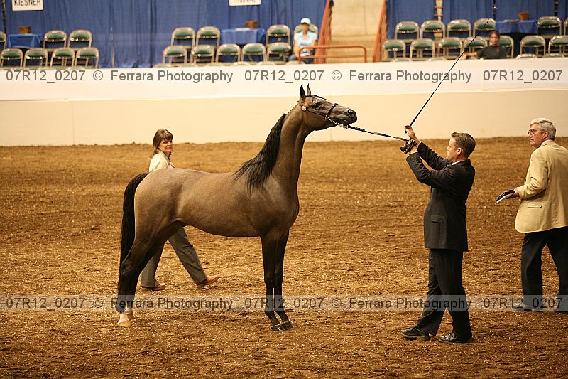 Proof 07r12_0207