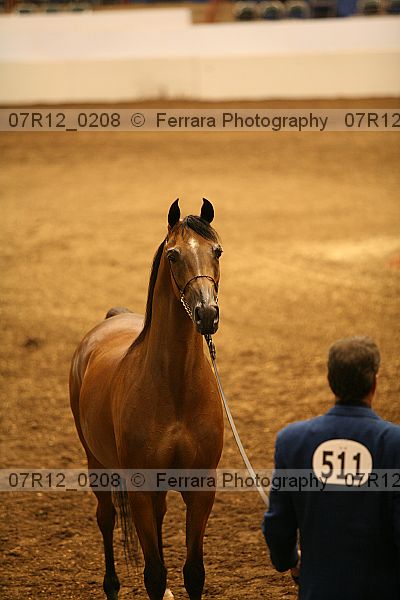 Proof 07r12_0208