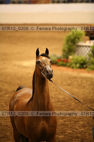 Proof 07r12_0209
