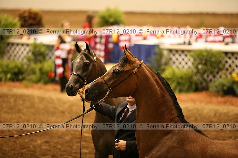 Proof 07r12_0210