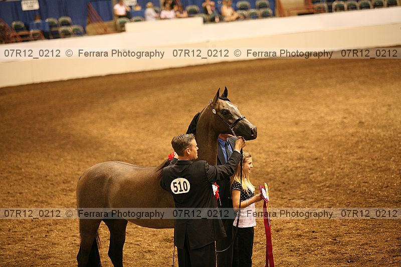 Proof 07r12_0212