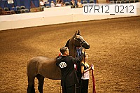 07r12_0212 proof