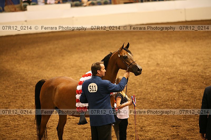 Proof 07r12_0214