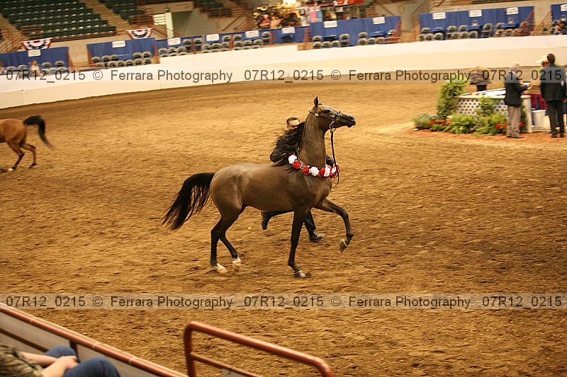 Proof 07r12_0215