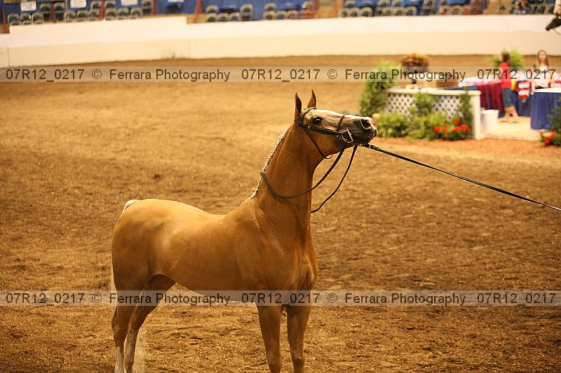 Proof 07r12_0217