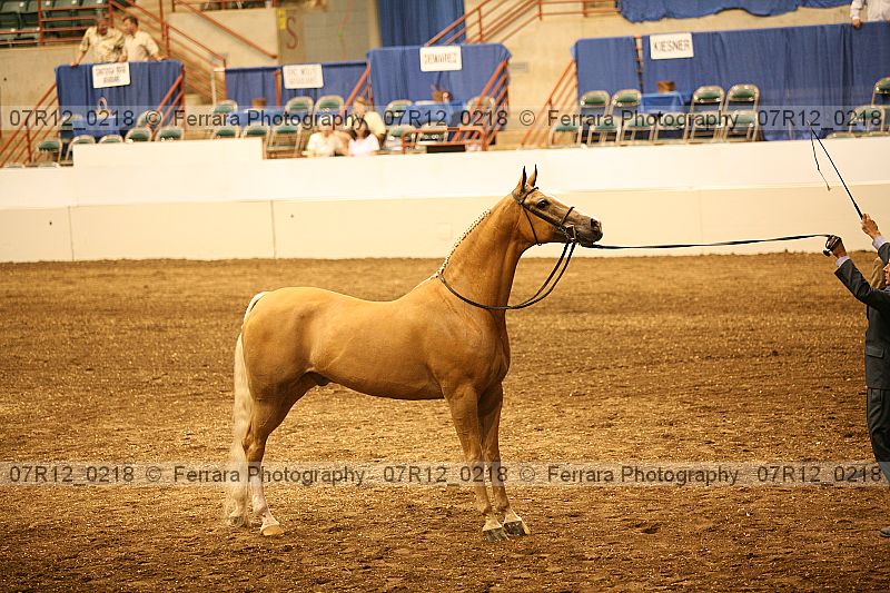 Proof 07r12_0218