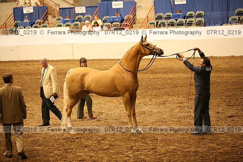 Proof 07r12_0219
