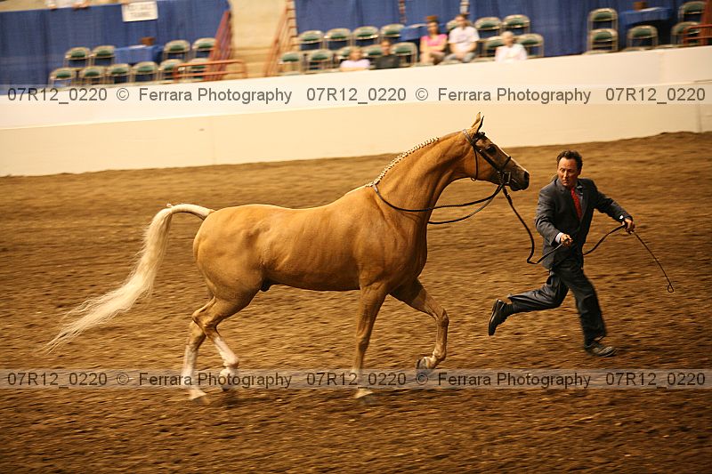 Proof 07r12_0220
