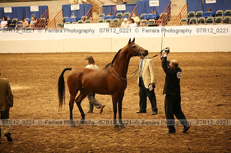 Proof 07r12_0221