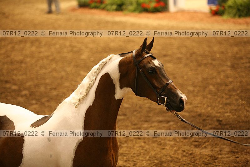 Proof 07r12_0222