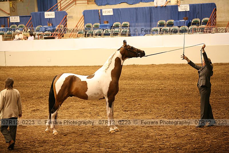 Proof 07r12_0223