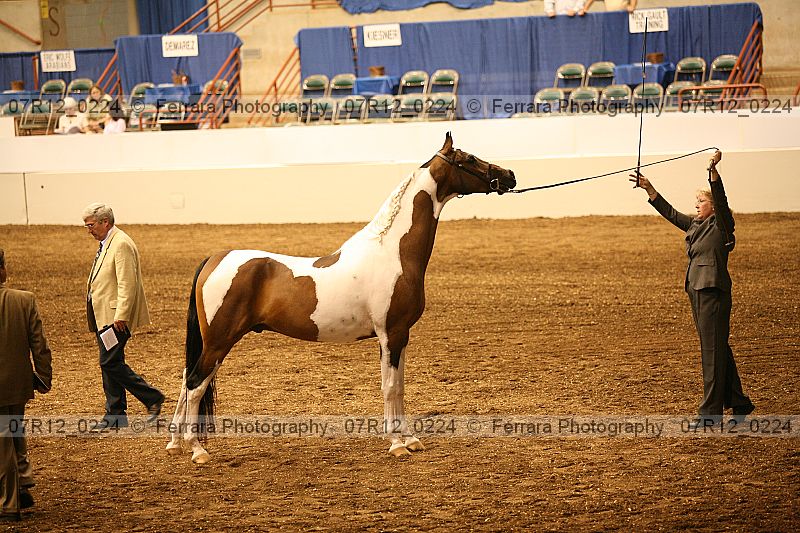 Proof 07r12_0224