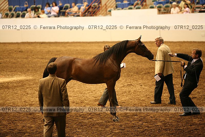 Proof 07r12_0225