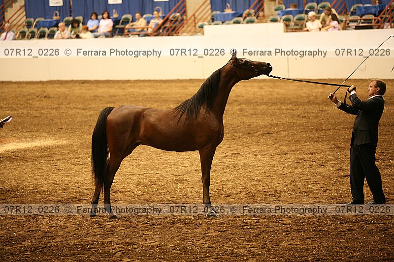 Proof 07r12_0226