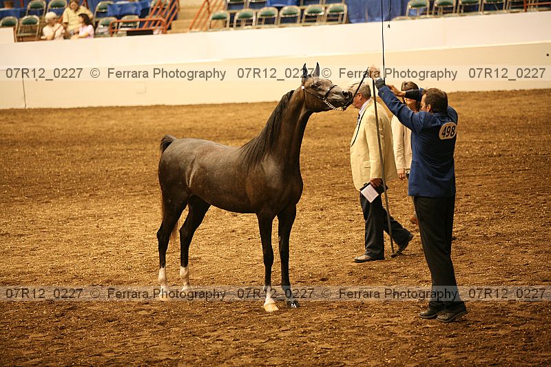 Proof 07r12_0227