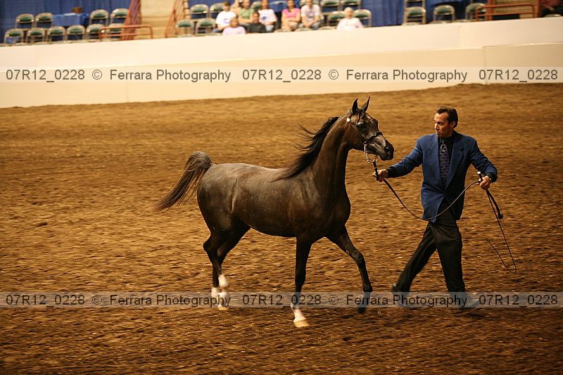Proof 07r12_0228