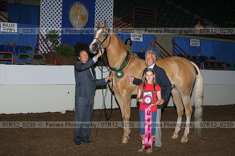 Proof 07r12_0230