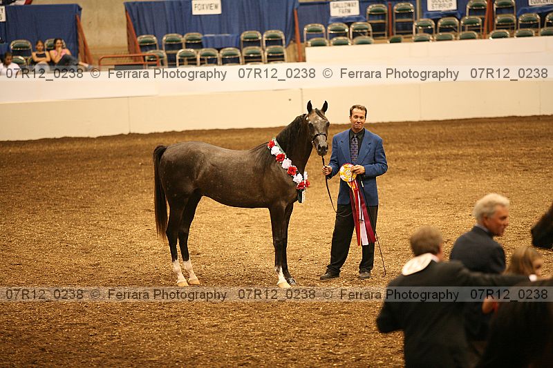 Proof 07r12_0238
