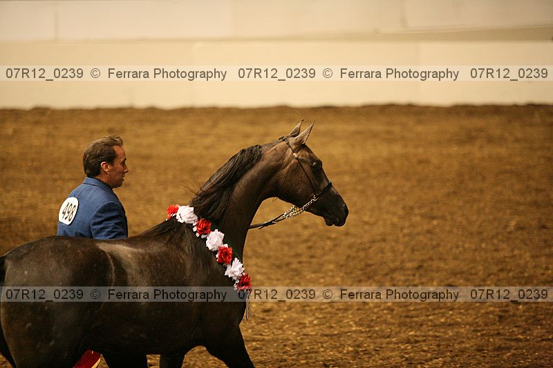 Proof 07r12_0239