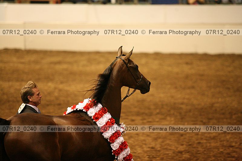 Proof 07r12_0240