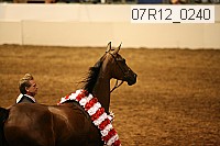 07r12_0240 proof