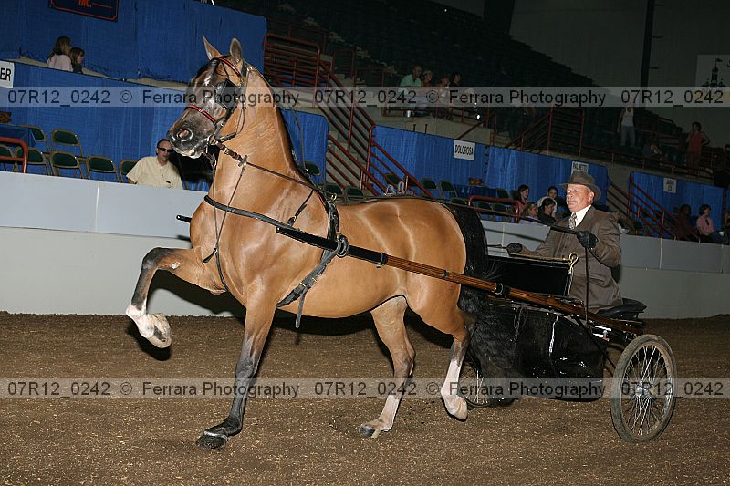 Proof 07r12_0242