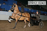 07r12_0242 proof