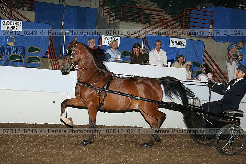 Proof 07r12_0243