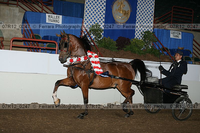 Proof 07r12_0247