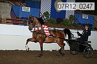 07r12_0247 proof