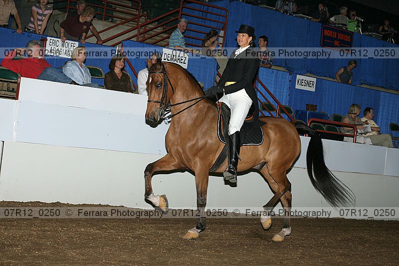 Proof 07r12_0250