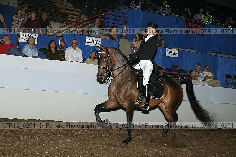 Proof 07r12_0251