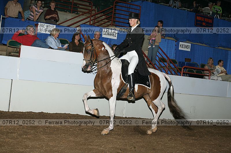 Proof 07r12_0252