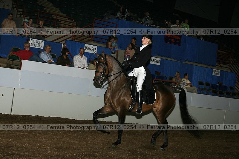 Proof 07r12_0254