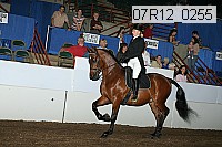 07r12_0255 proof