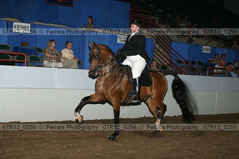 Proof 07r12_0256