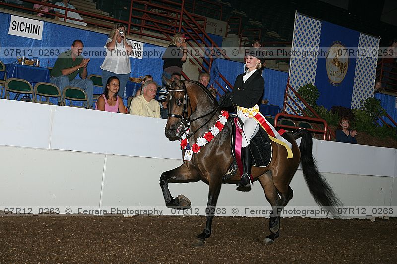 Proof 07r12_0263