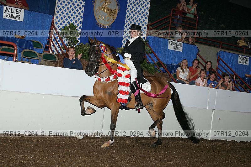 Proof 07r12_0264