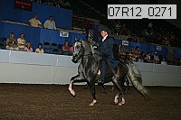 07r12_0271 proof