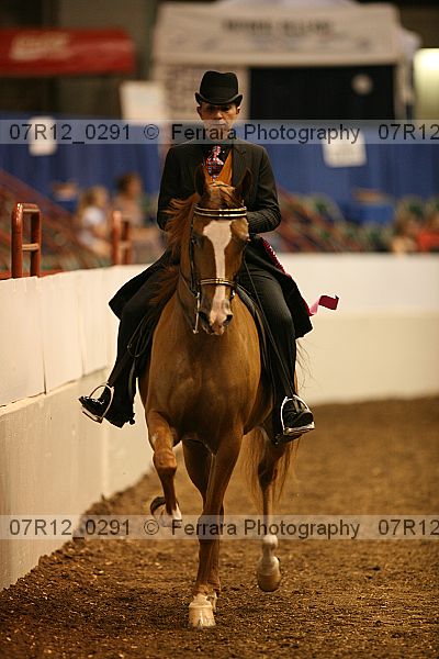 Proof 07r12_0291