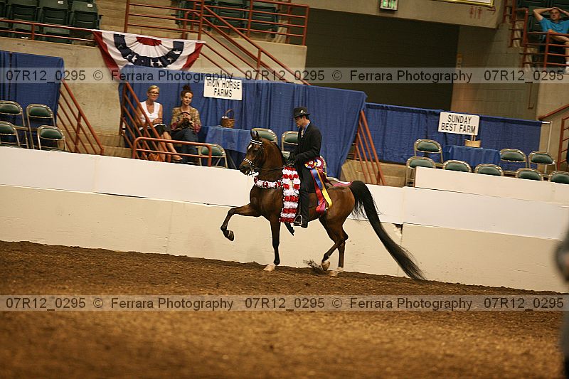 Proof 07r12_0295