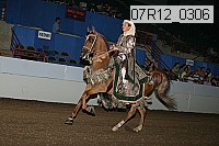 07r12_0306 proof