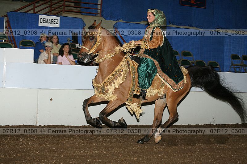 Proof 07r12_0308
