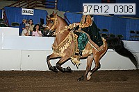 07r12_0308 proof