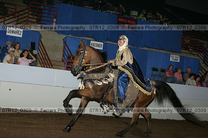 Proof 07r12_0309