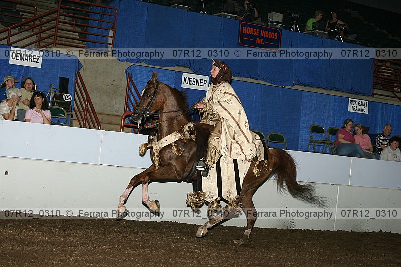 Proof 07r12_0310