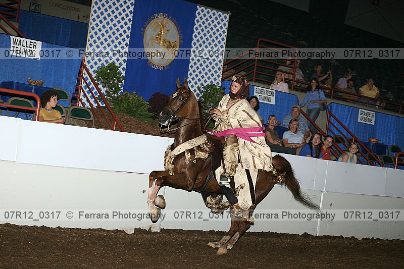 Proof 07r12_0317