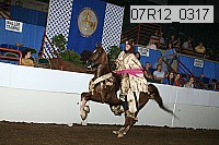 07r12_0317 proof